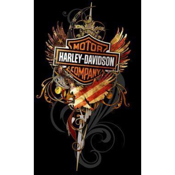 Harley Motorcycle Fire PIX-541