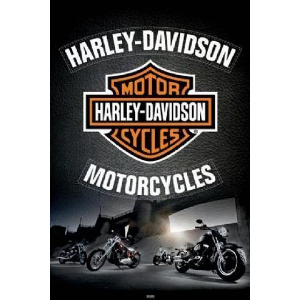 Harley Motorcycle PIX-540