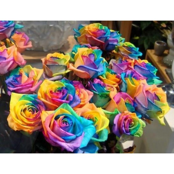 Rainbow Flowers PIX-774