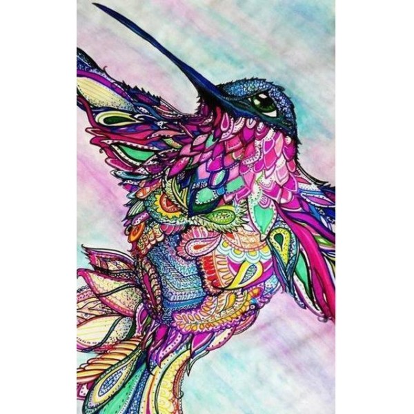 Hummingbird Colors PIX-522