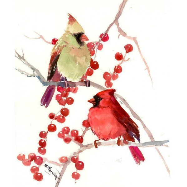 Cardinal Male And Female PIX-536