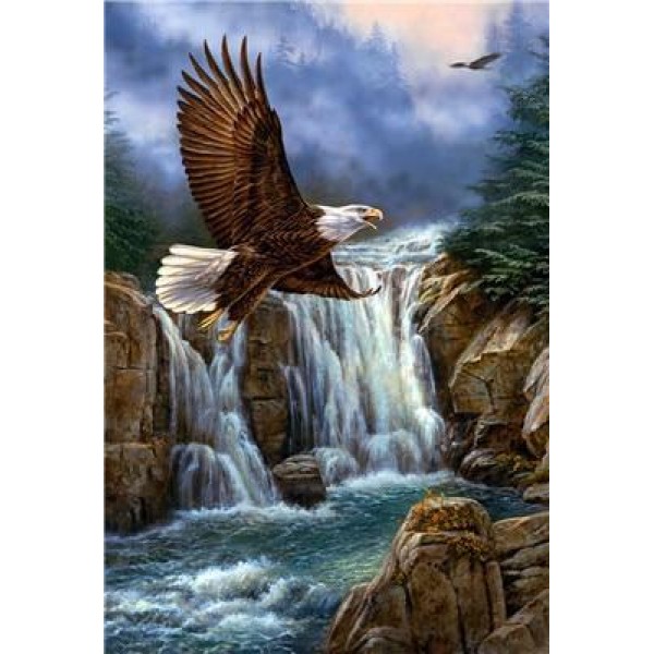 Landscape Eagle Fly Waterfall PIX-262