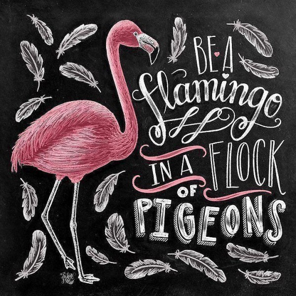 Be A Flamingo Colors PIX-1216