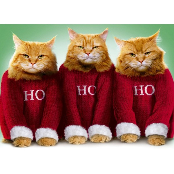 Ho Ho Ho Cat Christmas PIX-471