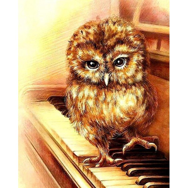 Owl Playing Piano PIX-141