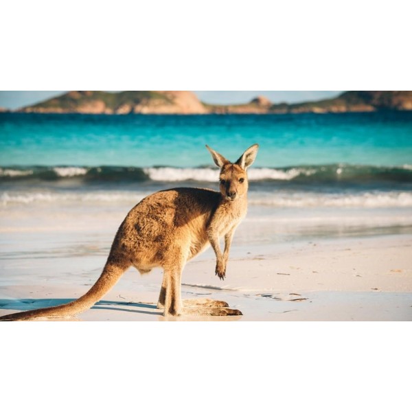 Kangaroo Island PIX-560