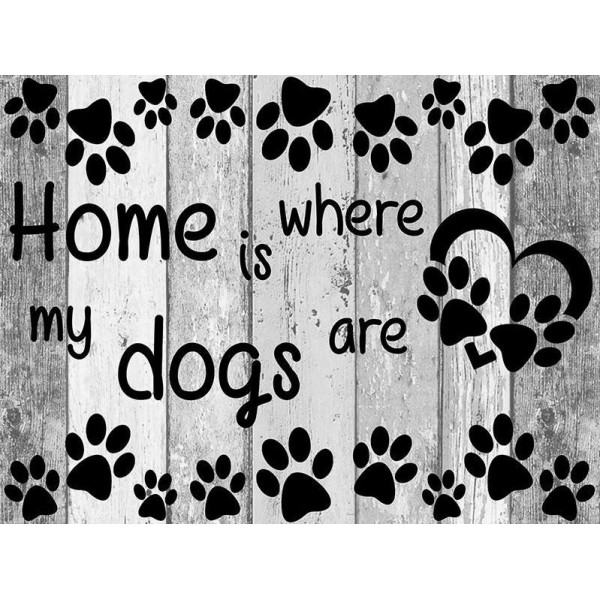 Home Is My Dogs are PIX-61