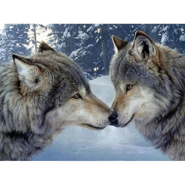 Lover Wolf PIX-51