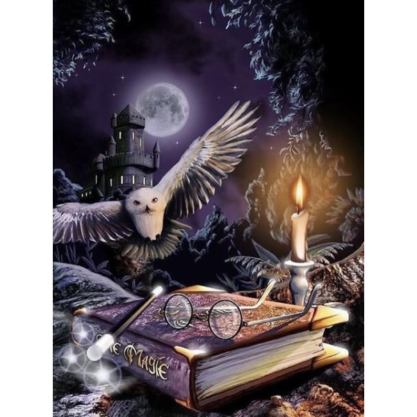Owl Night Book PIX-357