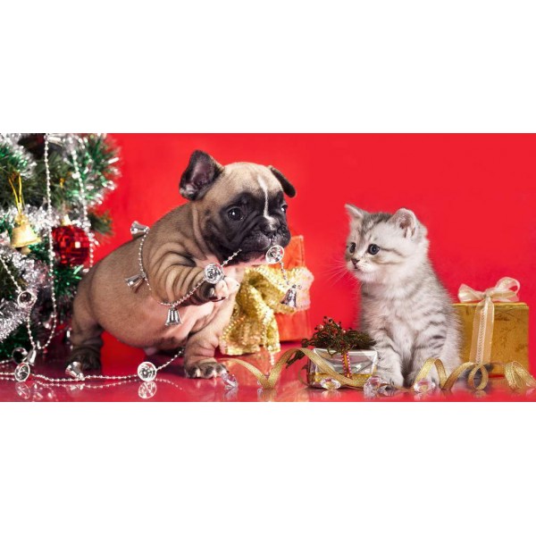Dog And Cat Christmas PIX-469