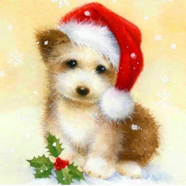 Christmas Dog Little PIX-238