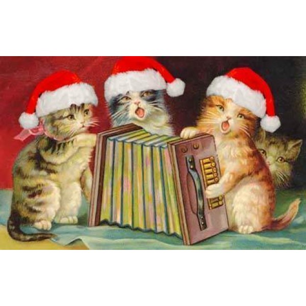 Cat Christmas Funny PIX-472