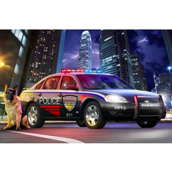 Police Car And Dog PIX-1317