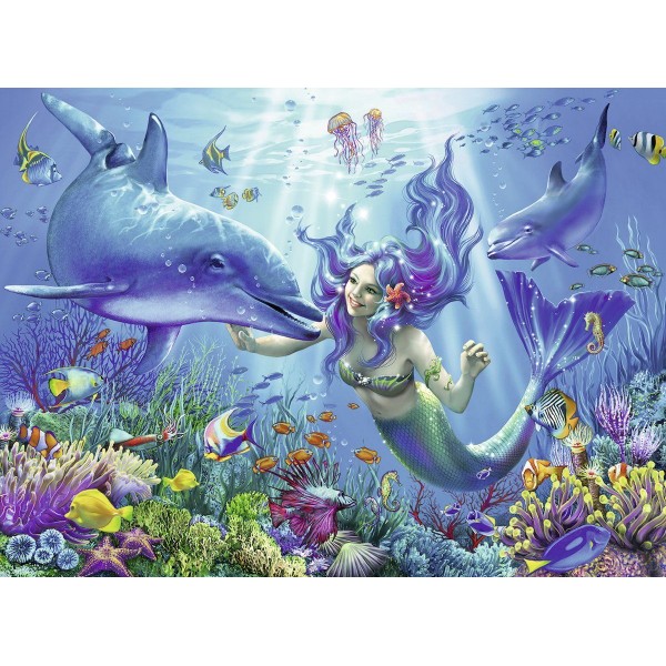 Mermaid And Dolphin PIX-275