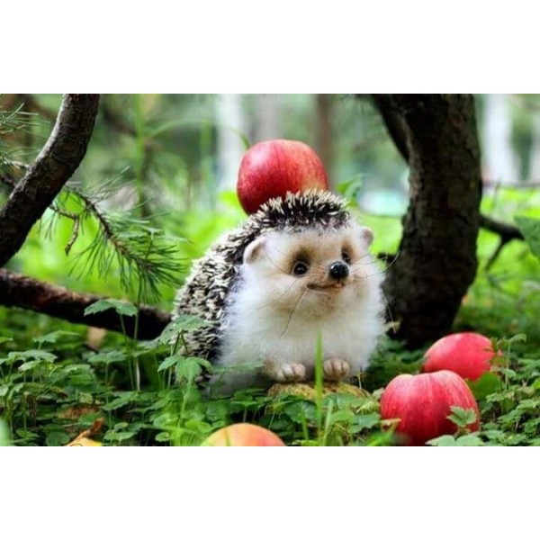 Cute Hedgehog Forest Apple Tree PIX-403