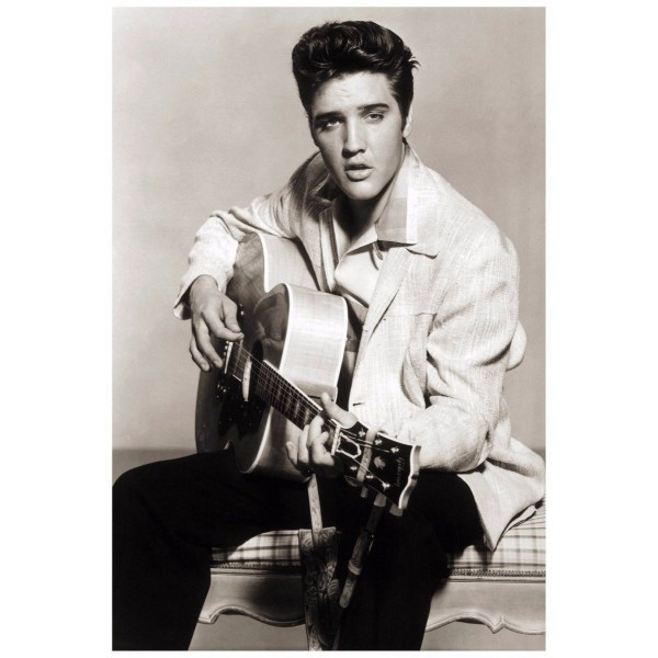 Singer Elvis Presley PIX-433
