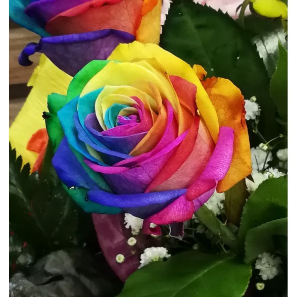 Rainbow Flowers PIX-772